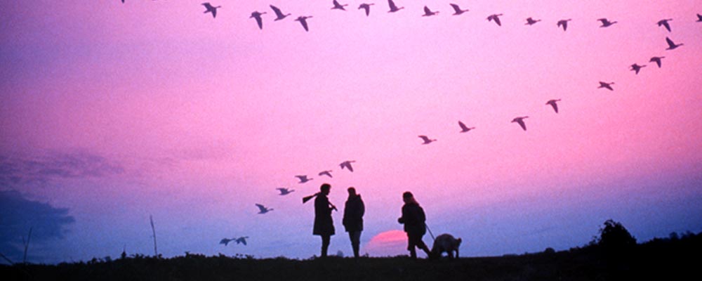 hunters-at-sunset-with-geese-flying
