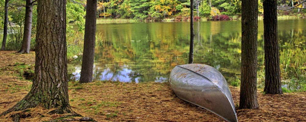 canoe-by-beautiful-wooded-lake