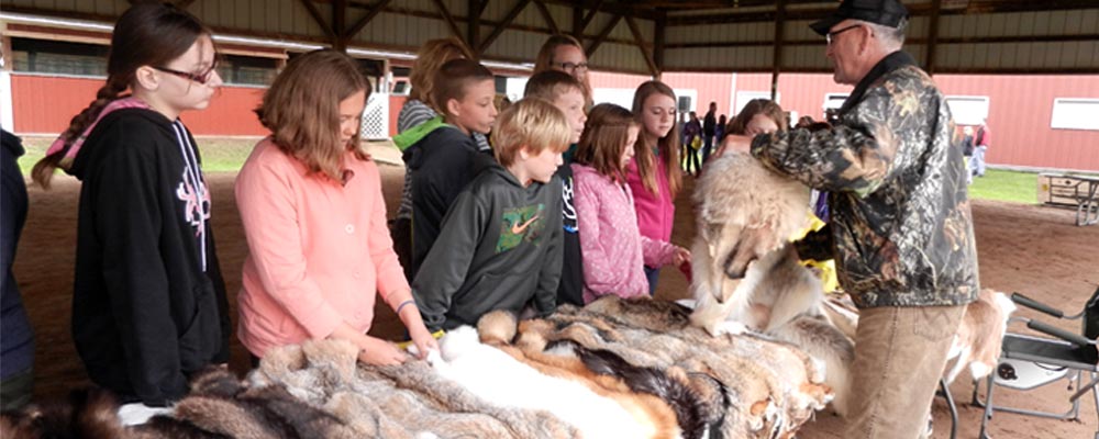 animal-fur-and-kids-feeling-them-and-learning-about-them